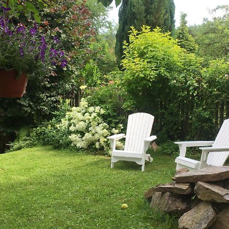 Willa Schmetterling Villa Duszniki Zdrój Buitenkant foto